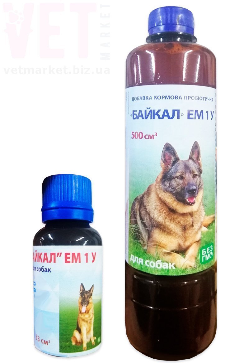 ������ ��� �����. ����������