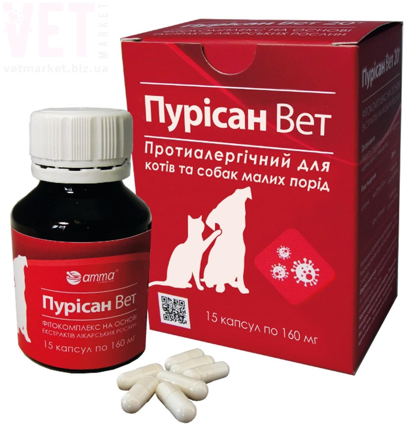 ������� ���, 15 ������, ���� ���� �������. Գ�����������, �������� ���������