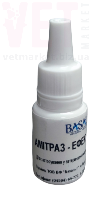 �������-������, 10 ��, �������. ����� �����, ����, �������