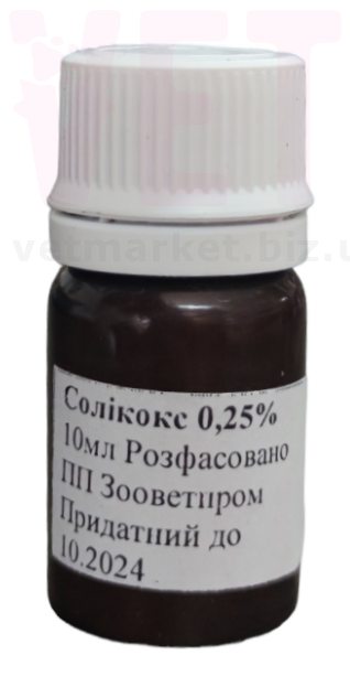 �����/��������, 10 ��, ����������. ����� / ����� � �����������