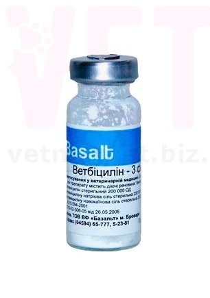 ����������-3 �������, �������. �����������