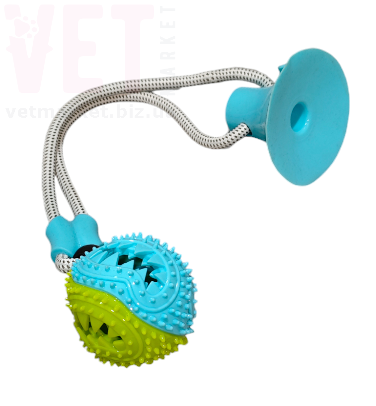 ������� 112-5 ��������� �� ��������. ��������