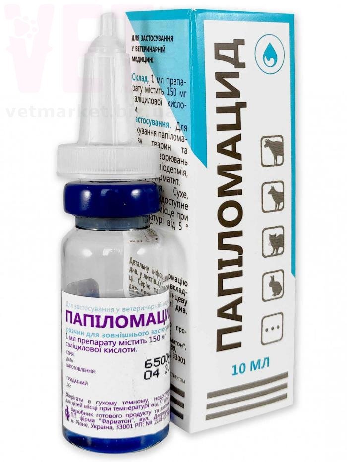 �����������, 10 ��, ��������. ��������, �������, �������� � ������ �����