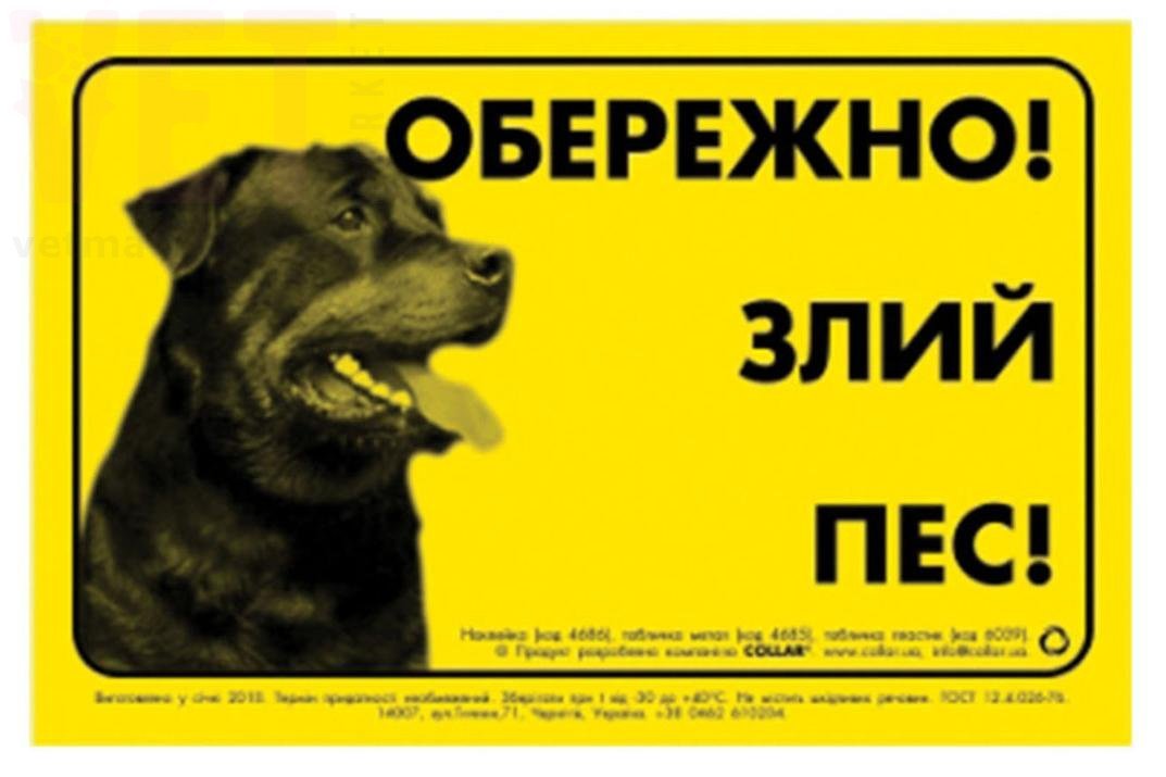 �������� "���������, ���� Ϩ�" ���������. �������� ������� �� ������