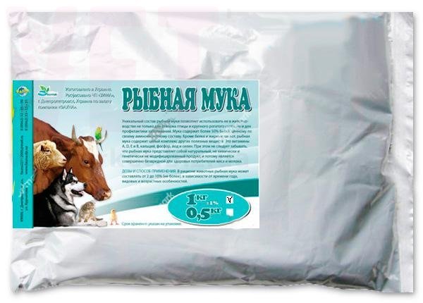 ���� ������, 1 ��, �����. ��� �������������������� ������