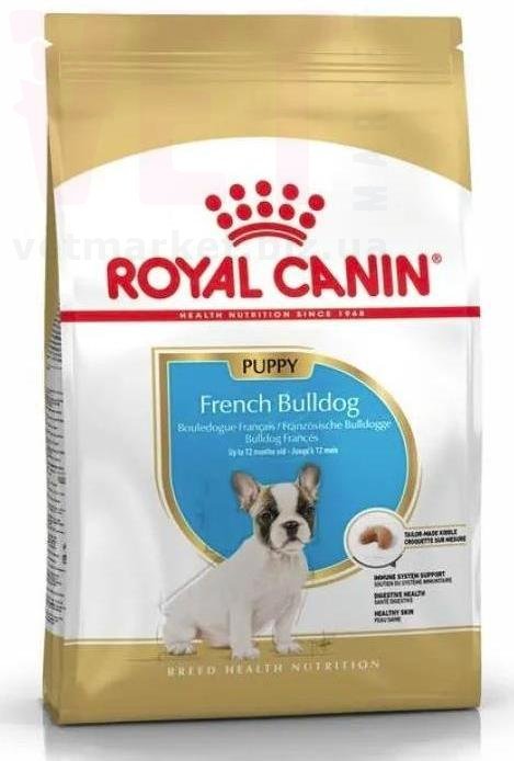   French Bulldog Puppy, 1 . Breed Health Nutrition -     