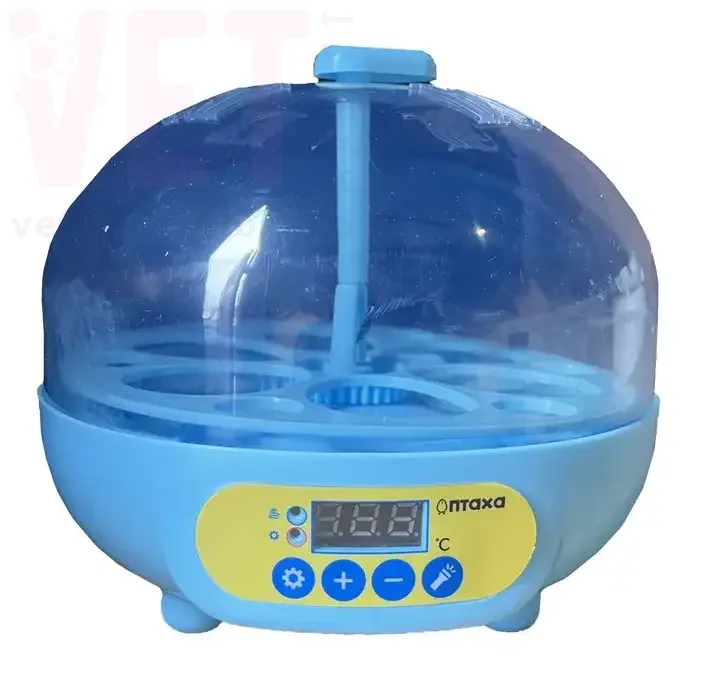 ��������� �������������� ����� 6 � ���������. ���������� � ������������ �����������