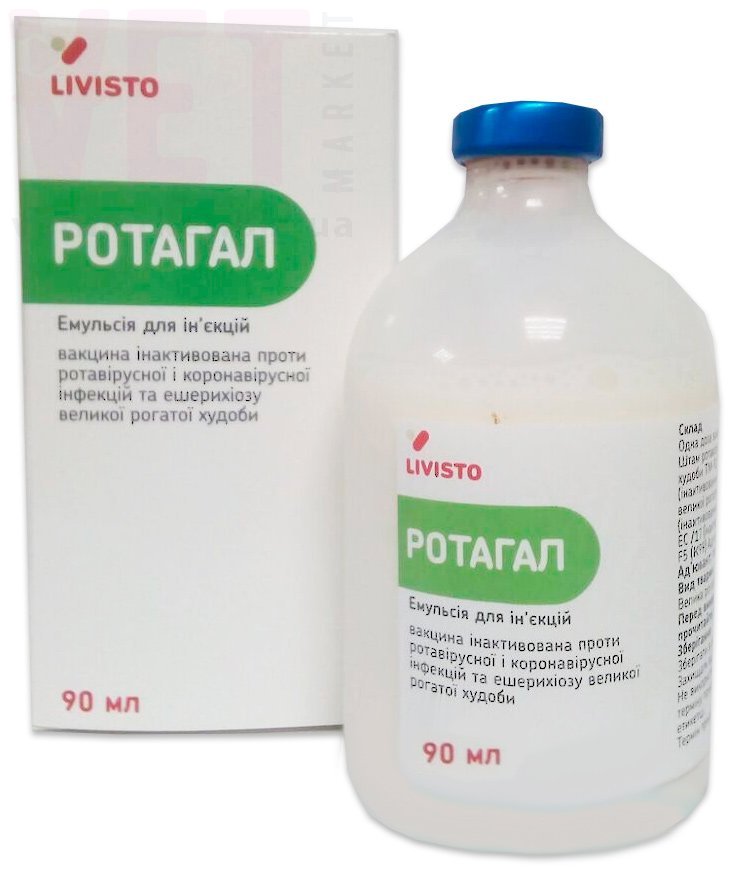 , 5  - 15 , Livisto. , 