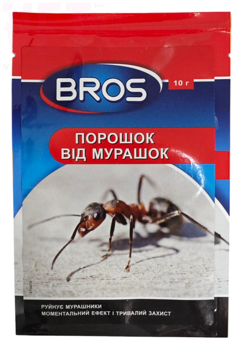 ���� ������� �� ��������, 10 �. ������ ������� �� ����� �� ��������