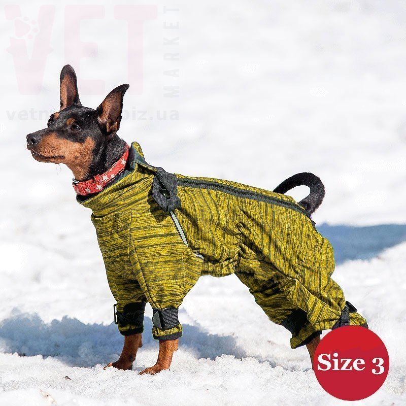 ���������� DIEGO snow F (�������) ������. ����