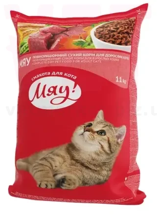 ��� ����� ���� � �����, 11 ��. ��� �����