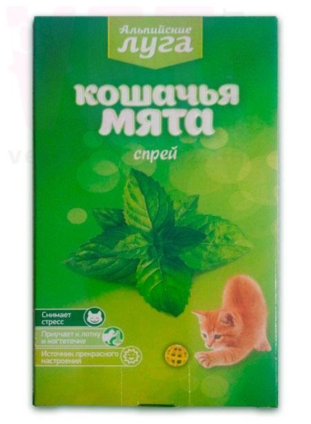 �����/���������� ���� ����� ������� ����, 100 ��, �������. ����� / ����� � �����������