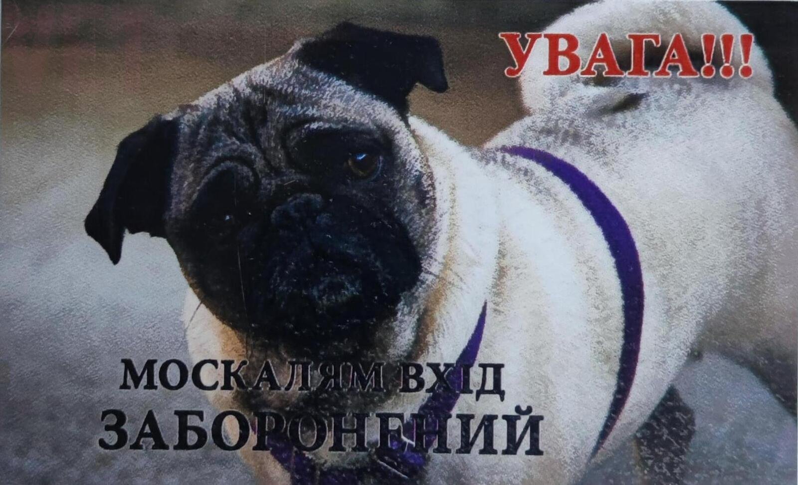 �������� ���� ��������� (����). �������� ������� �� ������