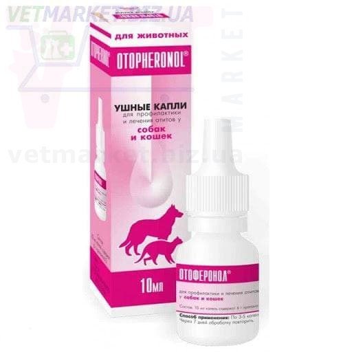 �����/����������, 10 ��, ���-���. ����� / ����� � �����������