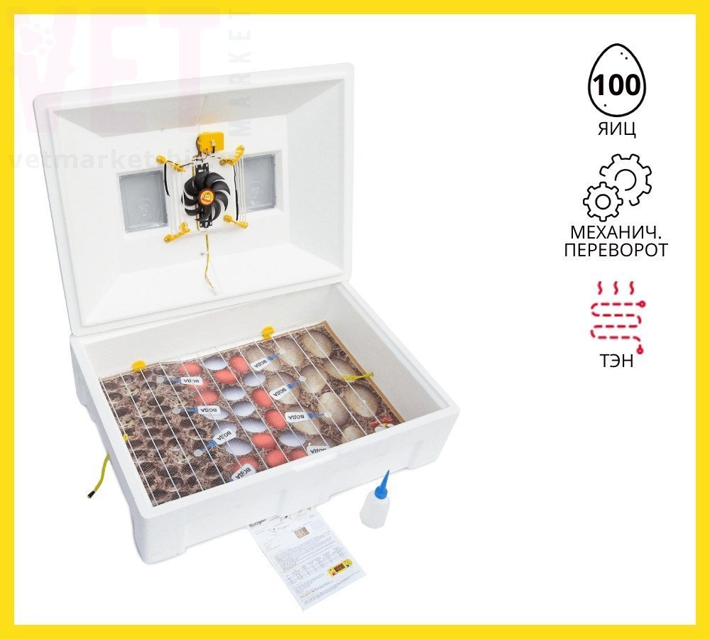 ��������� ������������ ������� �� 100 �� �������. ���������� � ���������� �����������