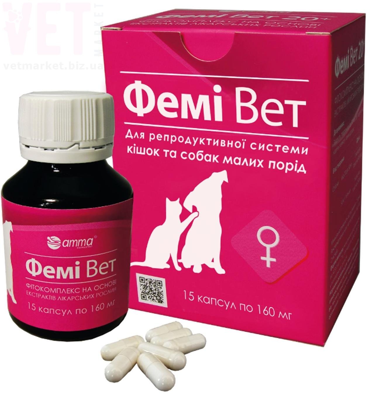 ���� ���, 15 ������, ���� ���� �������. ����