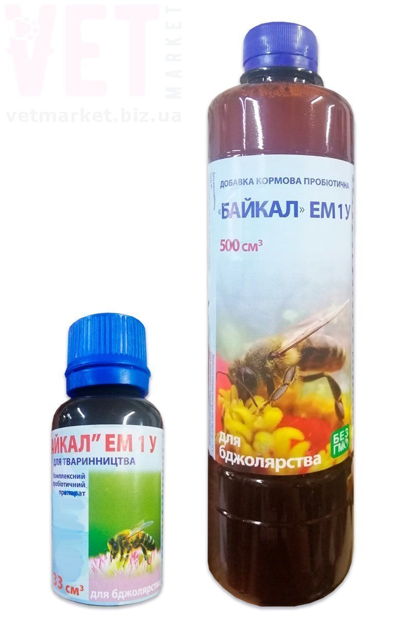 �����/������ ��� ����. ����� / ����� � �����������