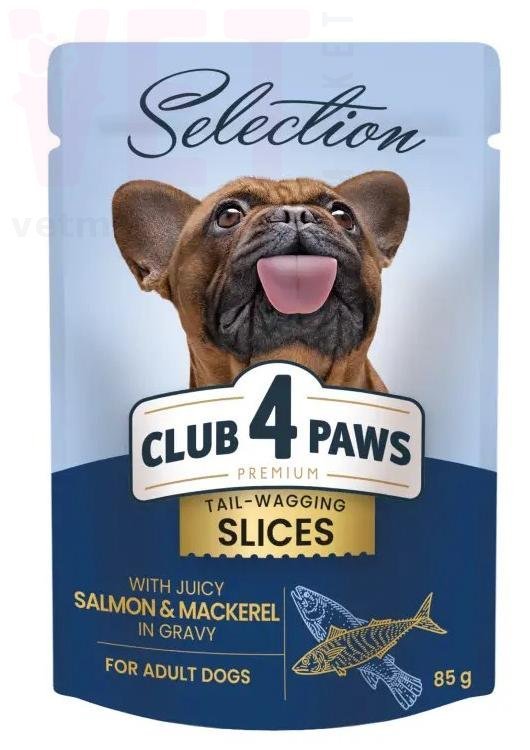 ���� 4 ���� ������� ��� ����� ������ � ��������, 85 �. ��� �����