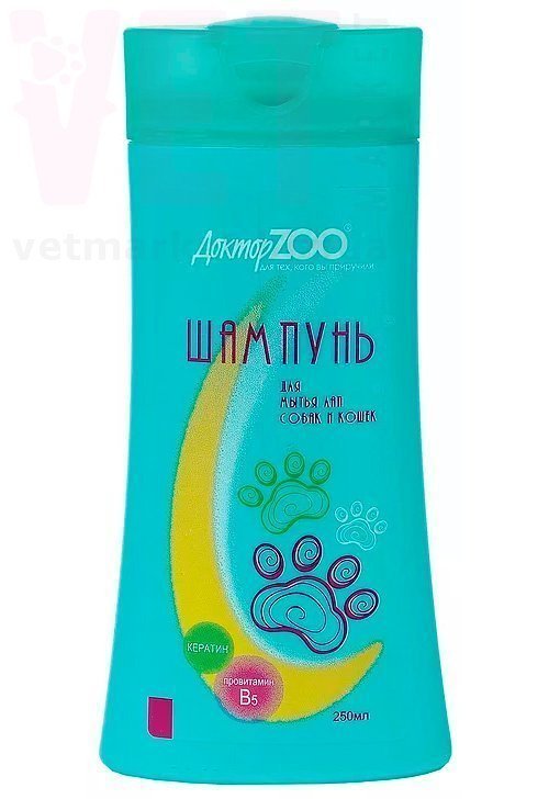 /         , 250 .  /   