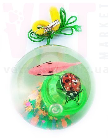 �����/����� ����������� � ������/�������� � ������� 6-7, �-6,5 �� / ������: �������, �� ��������. ����� / ����� � �����������