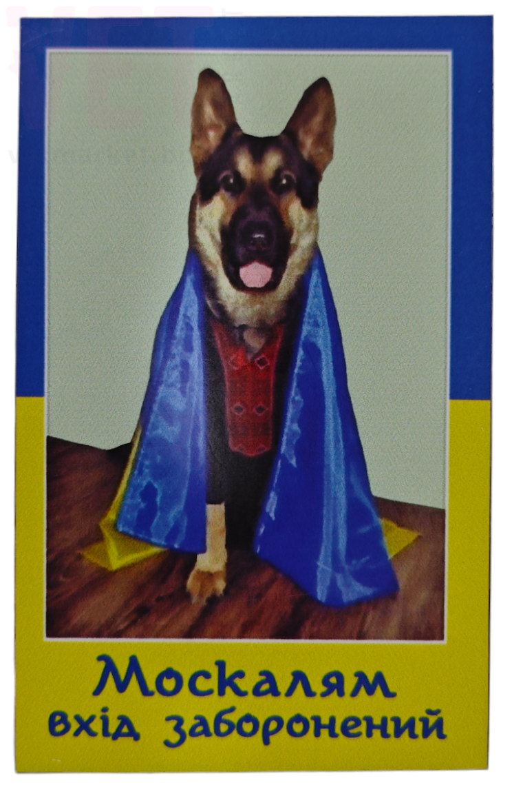 �������� ���� ��������� (���.�������). �������� ������� �� ������