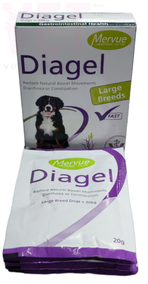 Mervue Diagel, 20 , Cymedica.  