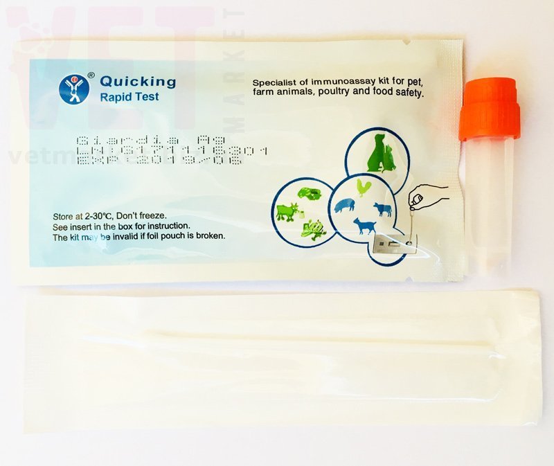 -  (Giardia Ag), Quicking Biotech Co, Ltd.  (  )