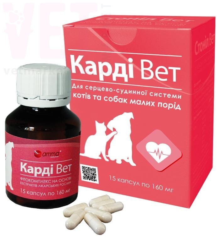 ����� ���, 15 ������, ���� ���� �������. Գ�����������, �������� ���������