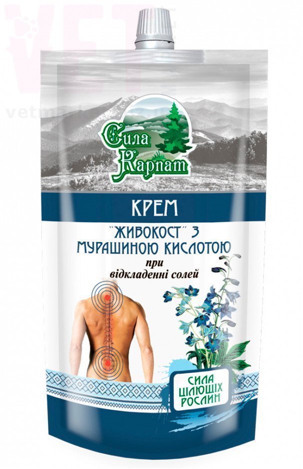 ���� ������ ���� �������� � ���������� ��������, 100 ��, �������. ������-������������ �������