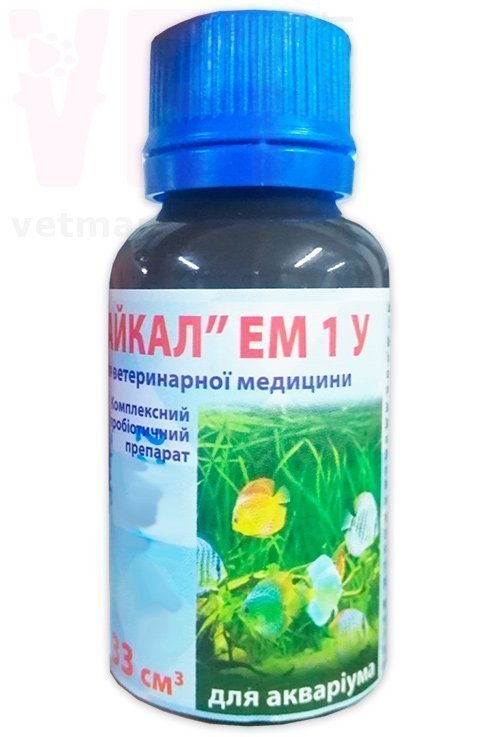 �����/������ ��� ����������, 33 ��. ����� / ����� � �����������