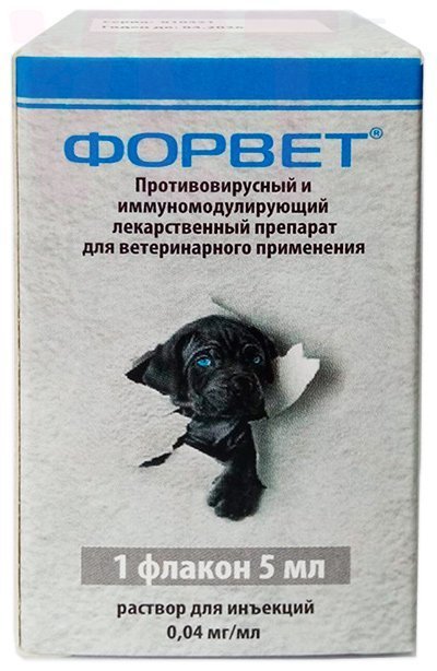 �����/������, 5 ��, ����� ���. ����� / ����� � �����������