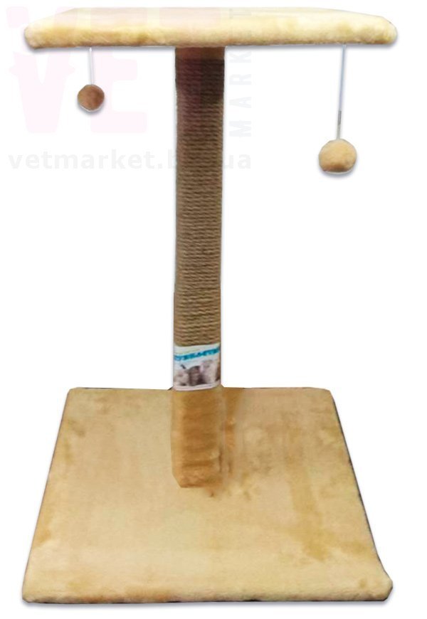 ���������� ��������� ������� ������� � ������, �������, 70*45 ��. ʳ�������