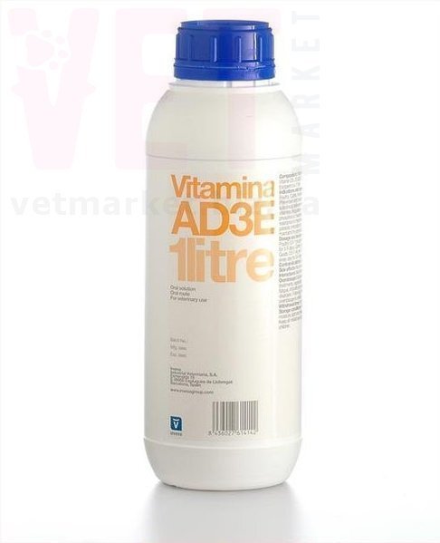 �����/������� ��3�, 1 �, Invesa (������). ����� / ����� � �����������