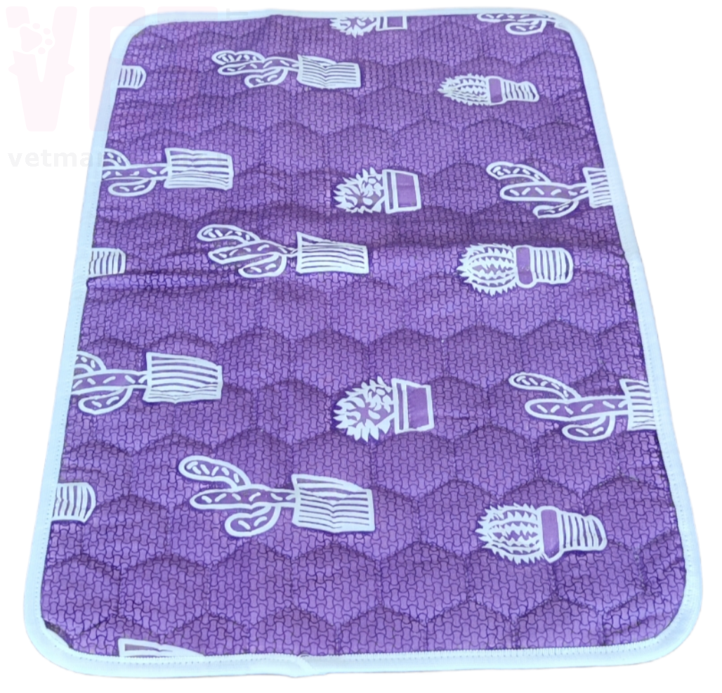 ������� ������������ 100 �����, 60*60 ��, ������. ������� �����������