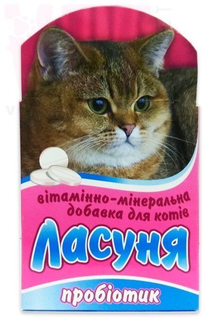 ������ ��� ����� ���������, 80 ����., �����. ��� ����