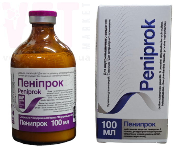 Әдемі қыздар секс эротика порнографиясы Жоғарғы бдсм