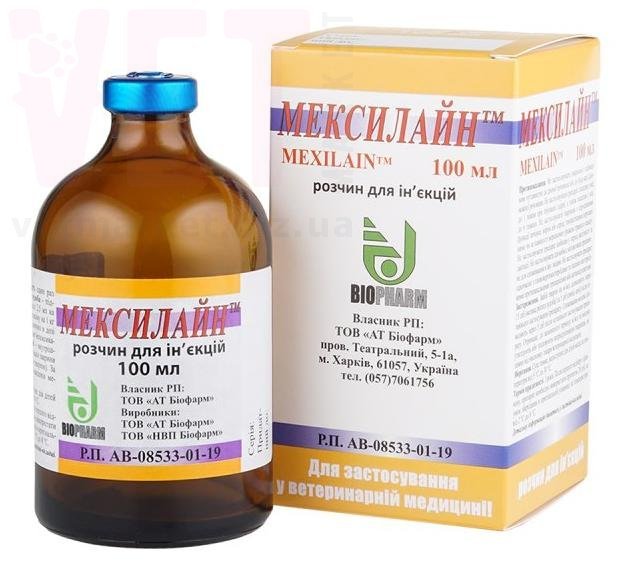 ���������, 100 ��, �������. �������������