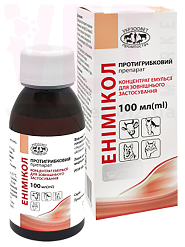 ��������, 100 ��, ����������. ��������, �������, �������� � ������ �����