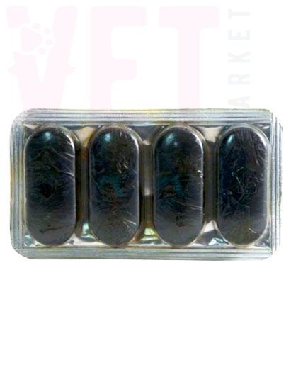 �����/����� �������������� �������������� � ������������� �4, �������. ����� / ����� � �����������