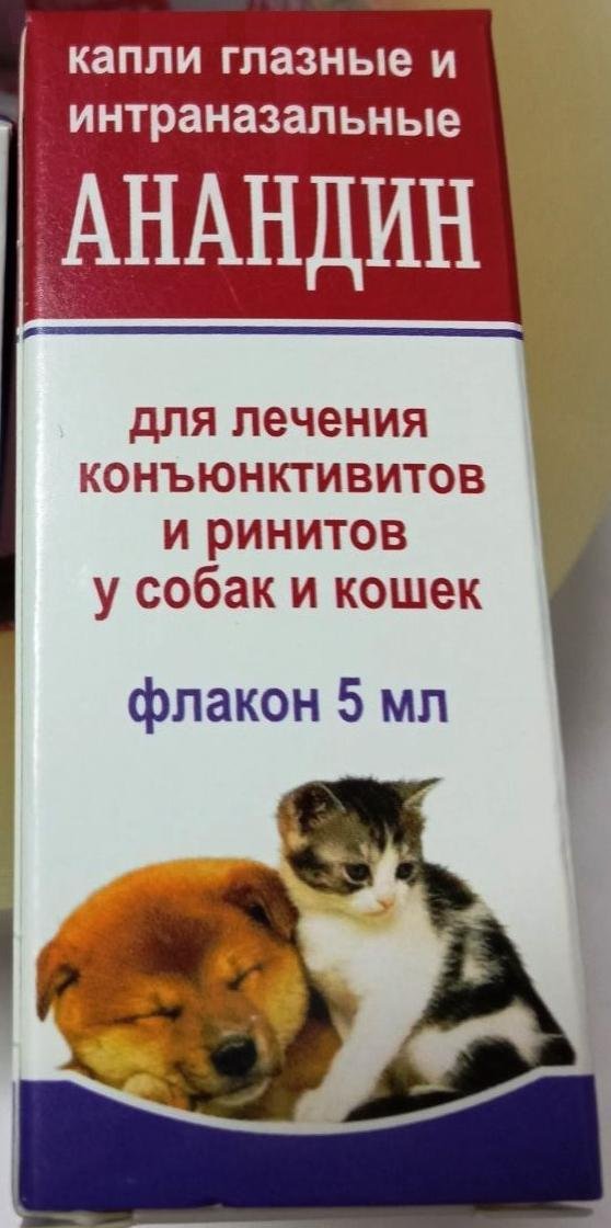 �����/������� ����� �������, 5 ��, �������. ����� / ����� � �����������