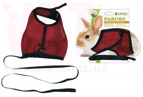 ���� �������� ��� �������. ���