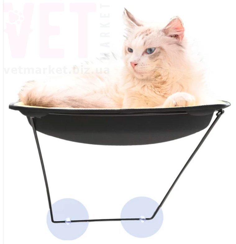 �����-������ 79-8. ������, �������