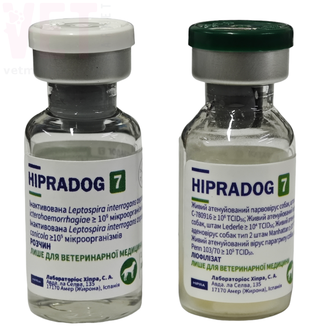 ��������-7, 1 ����, HIPRA. �������, ���������