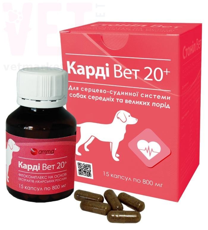 ����� ��� 20+, 15 ������, ���� ���� �������. Գ�����������, �������� ���������