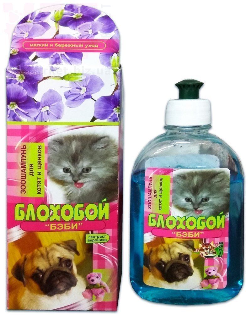 ���������� �������� ����, 300 ��, �����. ����������������