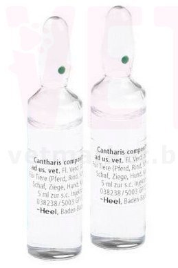 �����/�������� ����������, 5 ���.*5 ��, ����. ����� / ����� � �����������