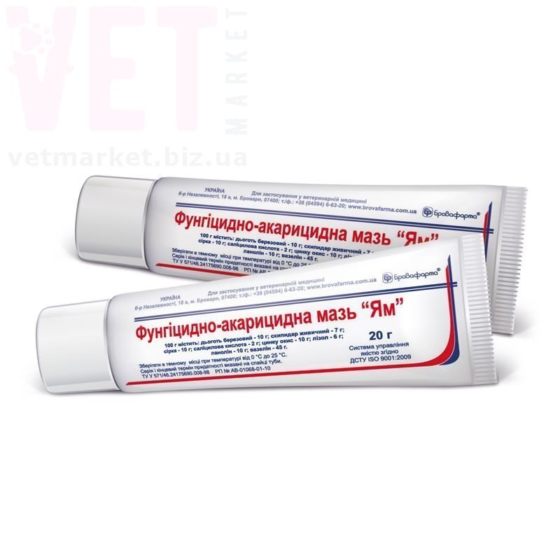 ���� ��, 20 �, ����������. ����, �����, ����