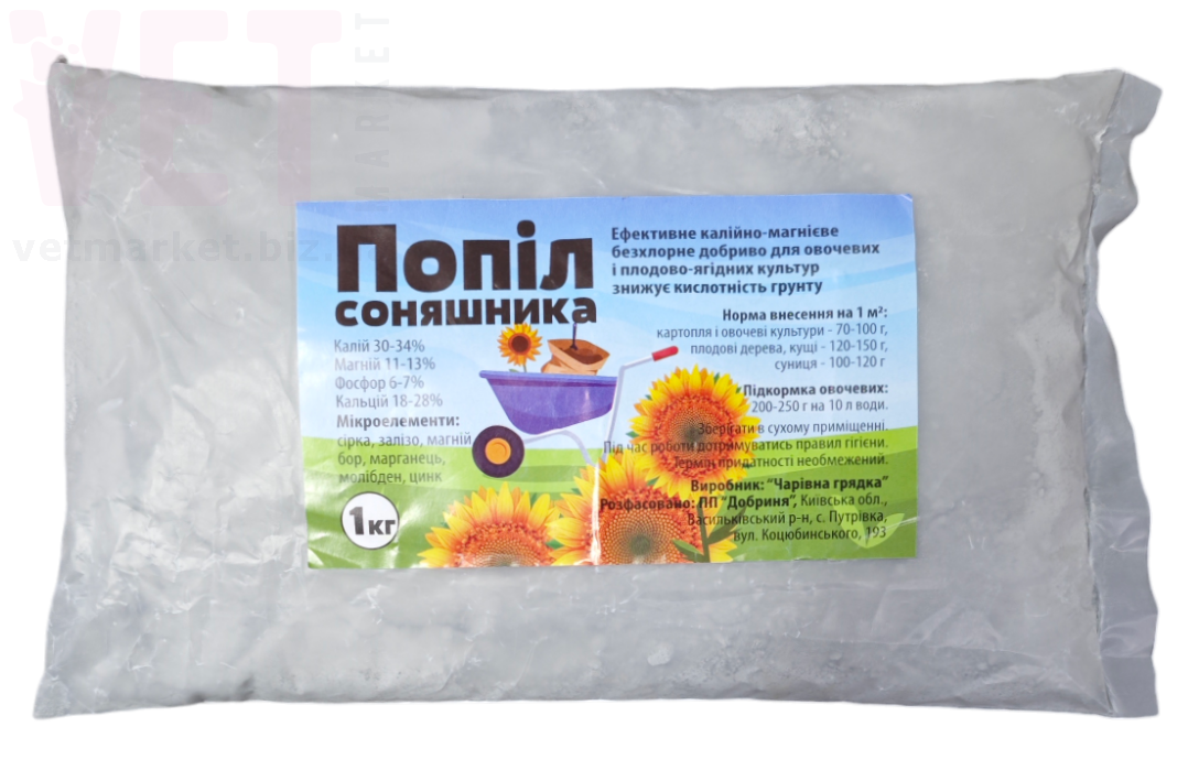 ���� ����������, 1 ��. ����