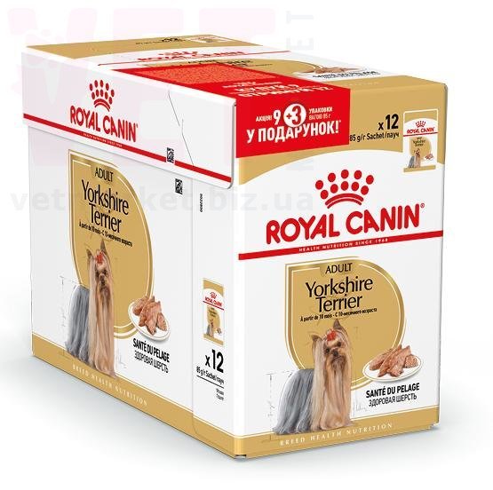 ���� ����� Yorkshire Adult 9+3. Canine Health Nutrition Wet - ������� �������