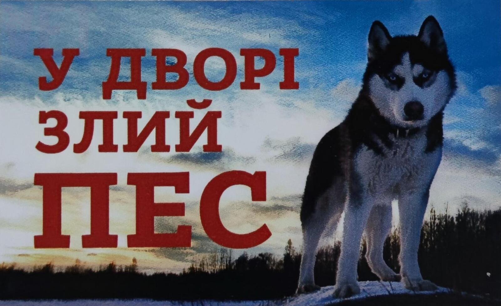 � ����i ���� ��� (�����). �������� ������� �� ������